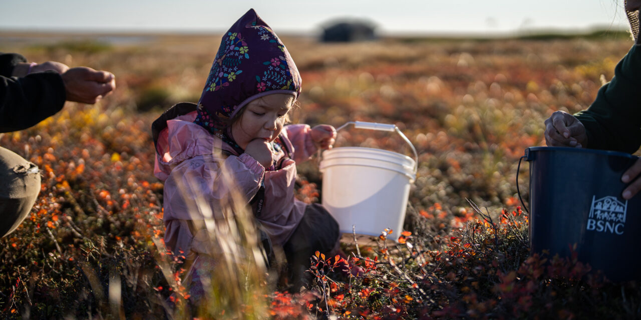 2025 Photo Contest Winners