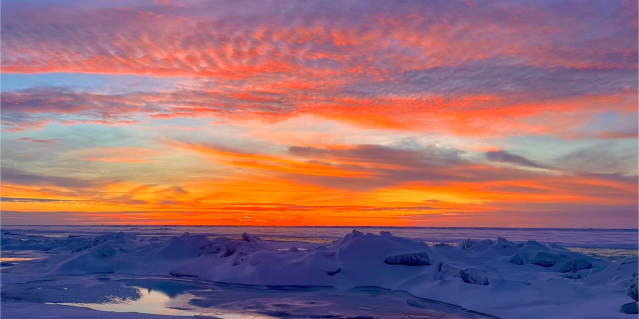 BSF Appoints Six Members to Board of Directors