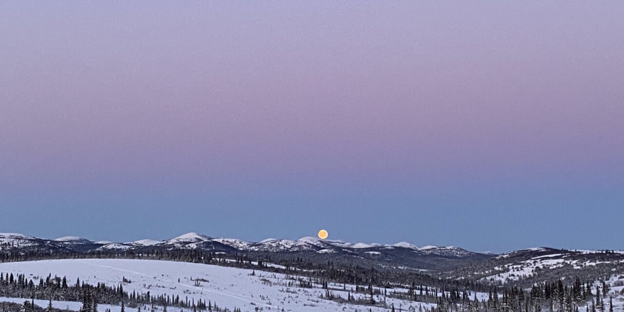 Shareholder Spotlight: John Waghiyi, Jr.