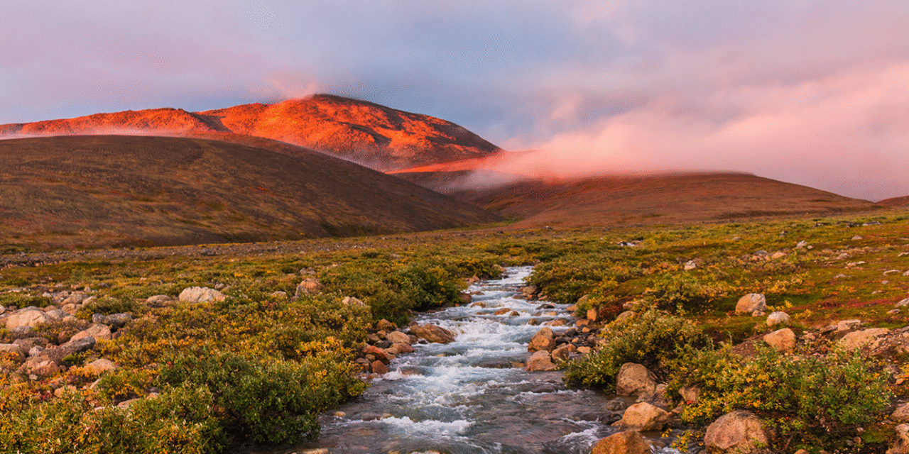 2026 Photo Contest Winners